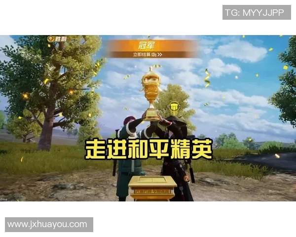 李伟专访揭秘和平精英成功背后的策略与创新之路